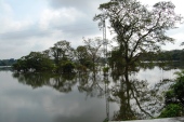 Floods 2011 Anurapdaphura