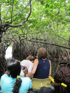 Mangrove forests need protection. Sri Lanka. Photo: Å. Bjørke